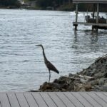 547670419 24917076401209317 395209636321739088 n