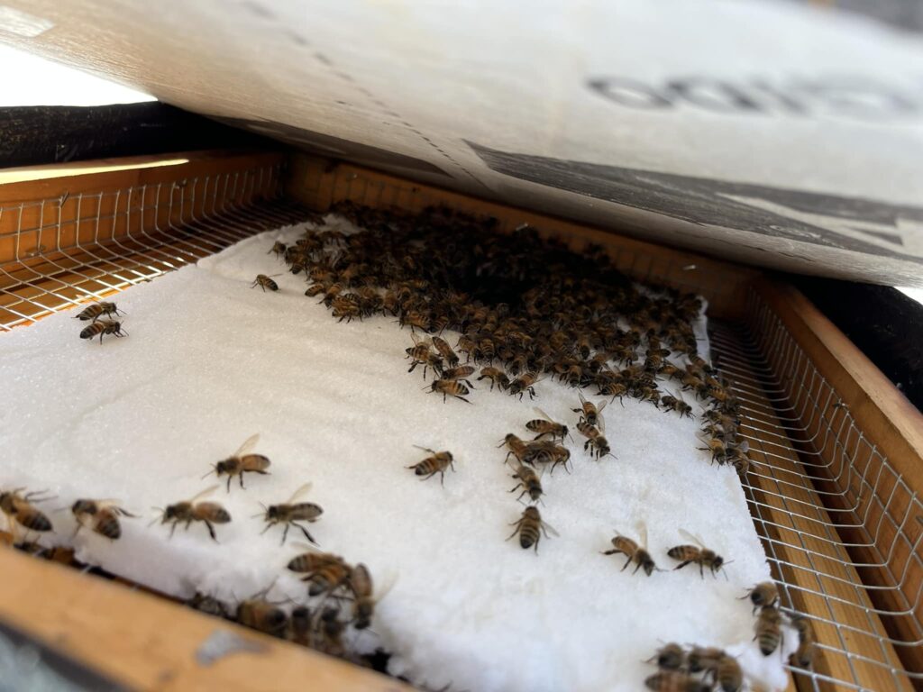 628181449 10214479930349831 5495065738128834661 n