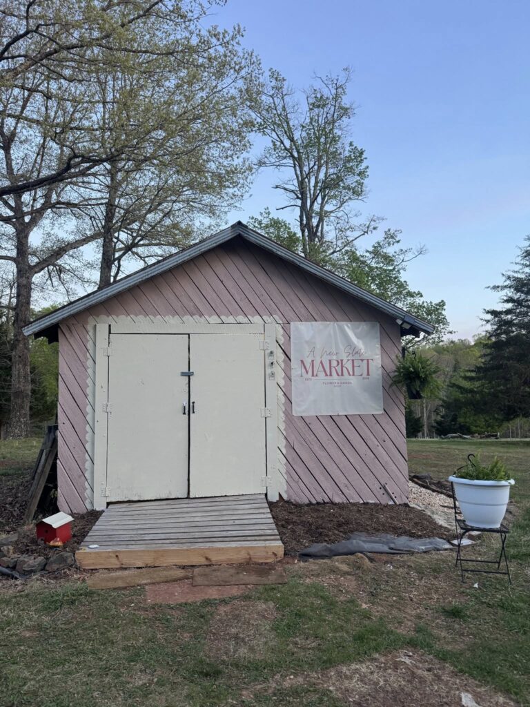 669859486 10225788050048092 7844899851363924094 n