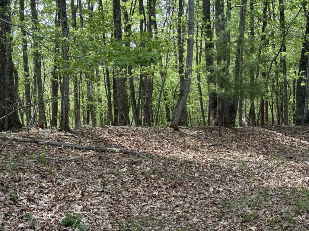 bbe809d1 89a1 4ab6 bc85 d0e504c2ddee