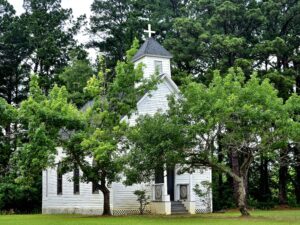 pexels dmum a 2148932479 35418101