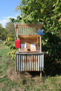 pexels inspired2love 34356588